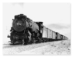 WP Mikado No 309