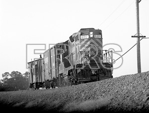 2_SN_712_Chico-7_thumbnail.jpg