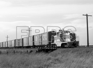 2_SN_e143_PCH-1_thumbnail.jpg