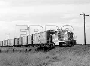 2_SN_e143_PCH-1a_thumbnail.jpg