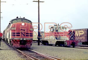 SN_301D_143_thumbnail.jpg