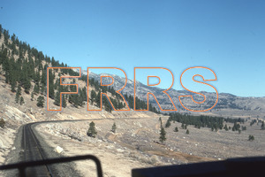 Paul_Gordenev_WPPG_01014_thumbnail.jpg