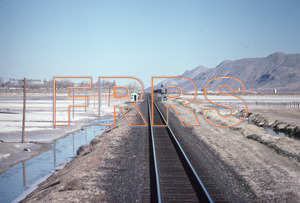 Paul_Gordenev_WPPG_01034_thumbnail.jpg