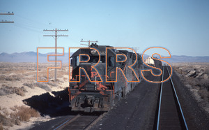 Paul_Gordenev_WPPG_01042_thumbnail.jpg