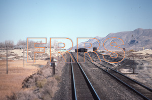 Paul_Gordenev_WPPG_01050_thumbnail.jpg