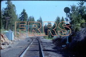 IMG00005_thumbnail.jpg