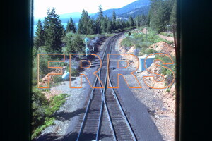IMG00019_thumbnail.jpg