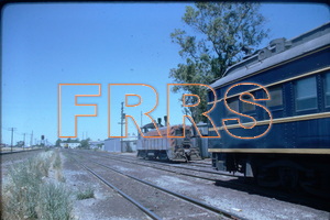 IMG00006_thumbnail.jpg