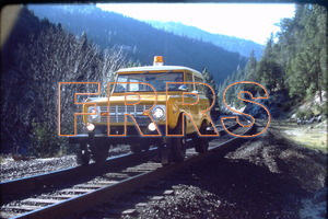 IMG00019_thumbnail.jpg