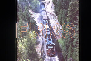 IMG00047_thumbnail.jpg