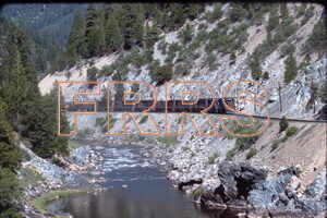 IMG00054_thumbnail.jpg