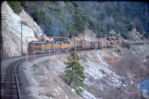 IMG00071_thumbnail.jpg
