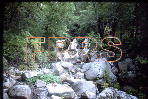 IMG00154_thumbnail.jpg