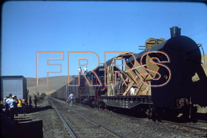 IMG00167_thumbnail.jpg