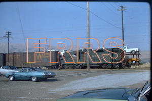 IMG00171_thumbnail.jpg