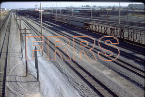 IMG00173_thumbnail.jpg