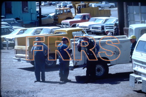 IMG00186_thumbnail.jpg