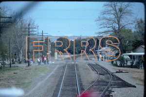 IMG00195_thumbnail.jpg