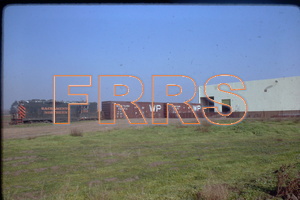 IMG00223_thumbnail.jpg